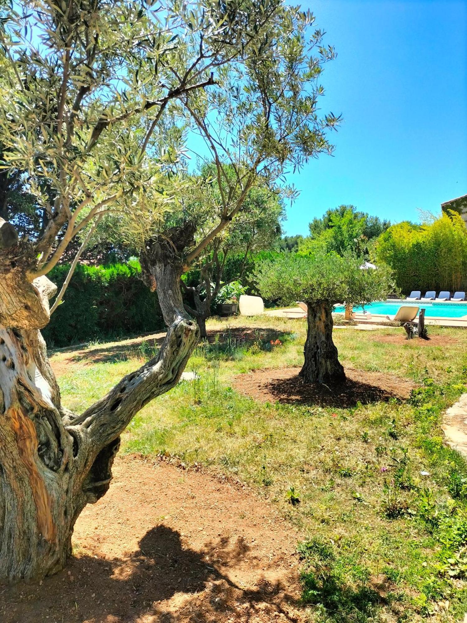 Vacances Carnoux-en-Provence Экстерьер фото